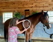 f49b10ee8c0a385d3e912338143e579f4466d8b4-14